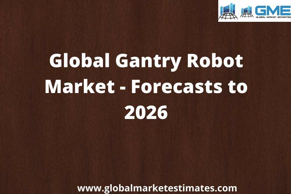 Evaluating the Global Gantry Robot Market?